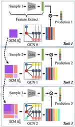 Incremental Label Distribution Learning With Scalable Graph Convolutional Networks