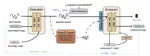 IDEAW: Robust Neural Audio Watermarking with Invertible Dual-Embedding